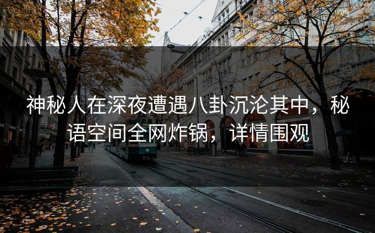 神秘人在深夜遭遇八卦沉沦其中，秘语空间全网炸锅，详情围观
