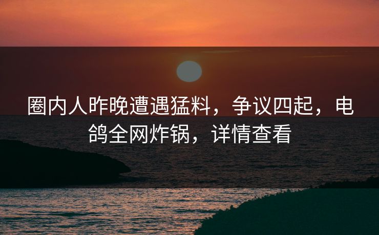 圈内人昨晚遭遇猛料，争议四起，电鸽全网炸锅，详情查看